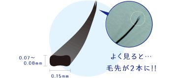 よく見ると…毛先が2本に！！